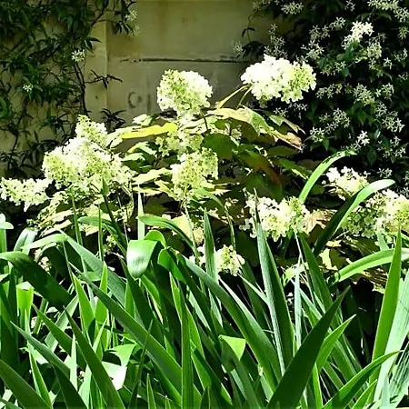 Bed & Breakfast Les De L'abbaye