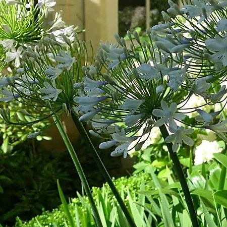 Les De L'abbaye Bed & Breakfast Caen