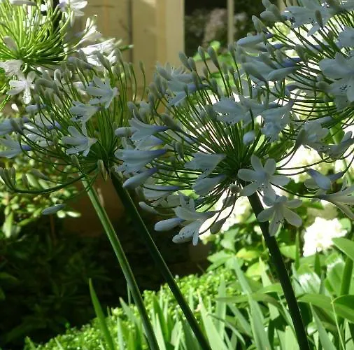 Les De L'abbaye 3* 凯恩